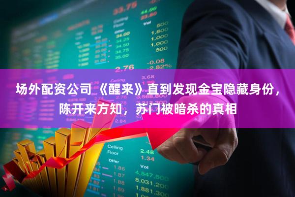 场外配资公司 《醒来》直到发现金宝隐藏身份，陈开来方知，苏门被暗杀的真相